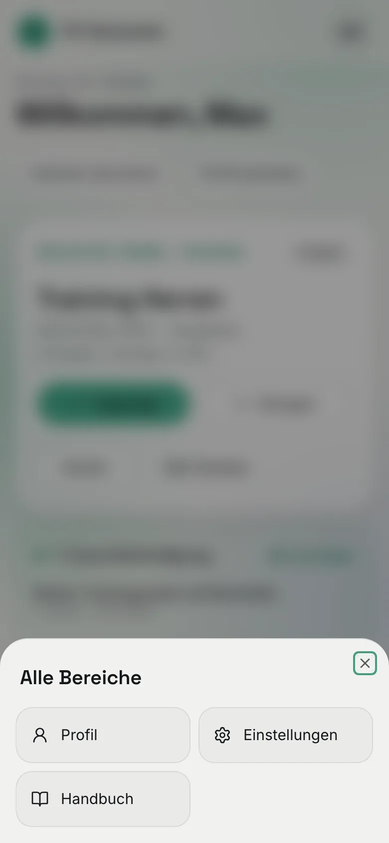 Das Menü „Mehr" auf dem Handy mit den Einträgen „Profil", „Einstellungen" und „Handbuch"